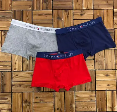 ￥~115 TO⭐MY HIL⭐IG⭐R UNDERWEAR 103170852