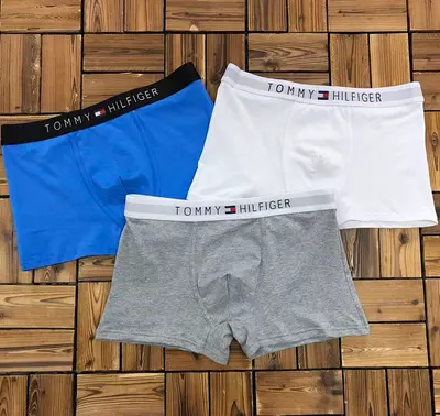 ￥~115 TO⭐MY HIL⭐IG⭐R UNDERWEAR 103170752