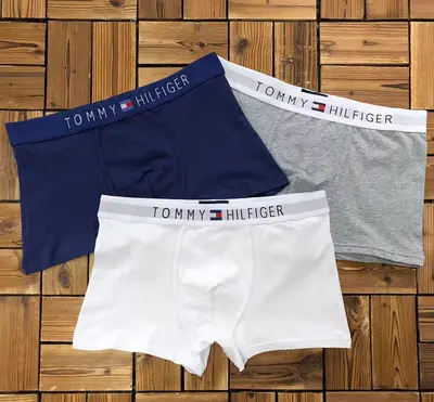 ￥~115 TO⭐MY HIL⭐IG⭐R UNDERWEAR 103170952