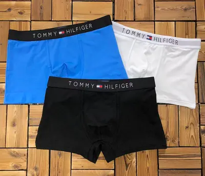 ￥~115 TO⭐MY HIL⭐IG⭐R UNDERWEAR 103171052