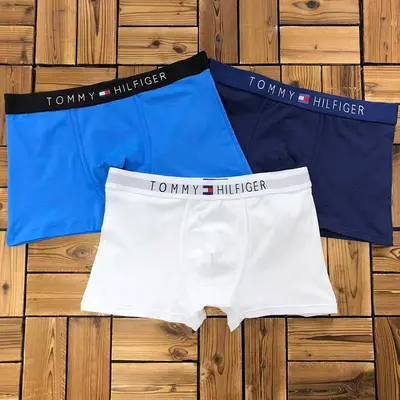 ￥~115 TO⭐MY HIL⭐IG⭐R UNDERWEAR 103171152