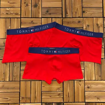 ￥~115 TO⭐MY HIL⭐IG⭐R UNDERWEAR 103170252