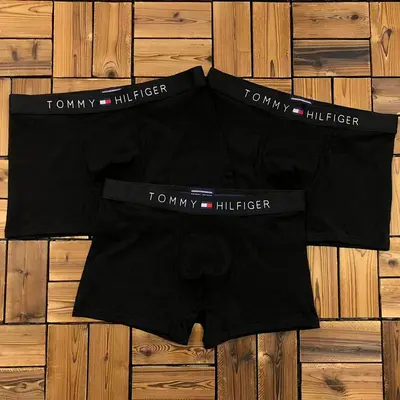 ￥~115 TO⭐MY HIL⭐IG⭐R UNDERWEAR 103170152