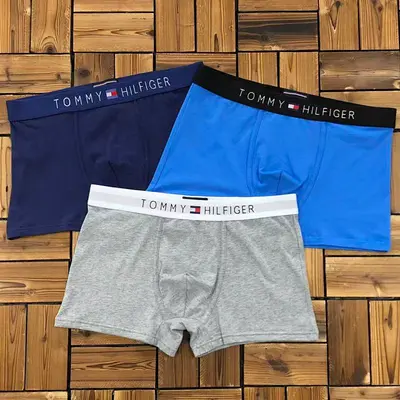 ￥~115 TO⭐MY HIL⭐IG⭐R UNDERWEAR 103170452