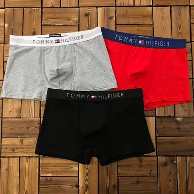 ￥~115 TO⭐MY HIL⭐IG⭐R UNDERWEAR 103170352
