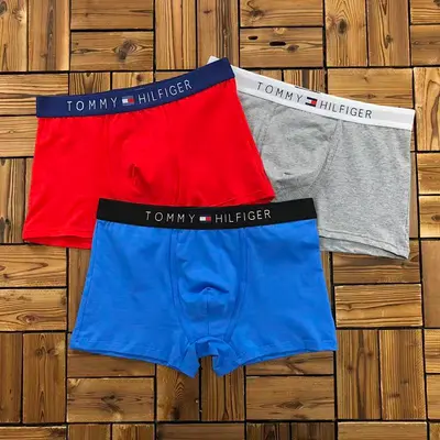 ￥~115 TO⭐MY HIL⭐IG⭐R UNDERWEAR 103170652