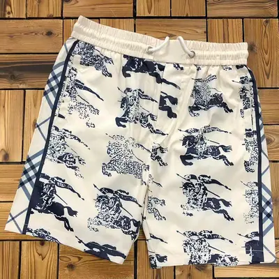 ￥~78 BUR⭐⭐RRY SHORTS 04100463