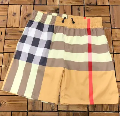￥~88 BUR⭐⭐RRY SHORTS 04101061