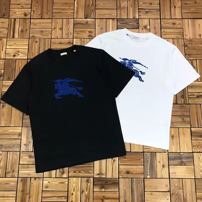 ￥~145 BUR⭐⭐RRY T-SHIRT 04161967
