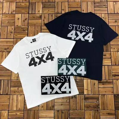 ￥~68 STUSSY T-SHIRT 04246263