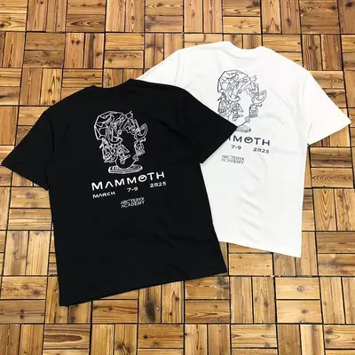 ¥~125 AR⭐⭐ERYX T-SHIRT 04251663