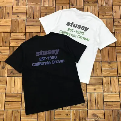 ￥~68 STUSSY T-SHIRT 04272063
