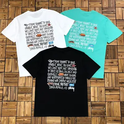 ￥~68 STUSSY T-SHIRT 04273363