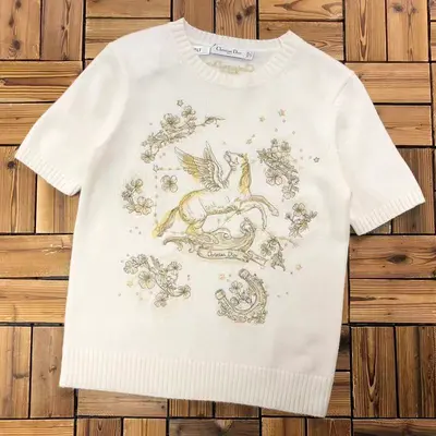 ￥~325 DI⭐R SWEATER FEMALE T-SHIRT 04290563