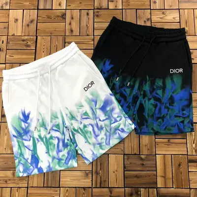 ￥~175 DI⭐R SHORTS 06132766