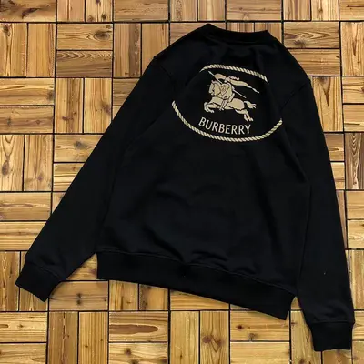 ￥~155 BUR⭐⭐RRY HOODIE 08240362
